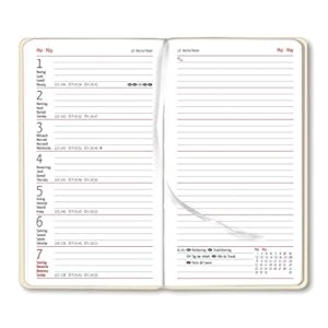 Alpha Edition Ladytimer 170873 Agenda per Anno 2017