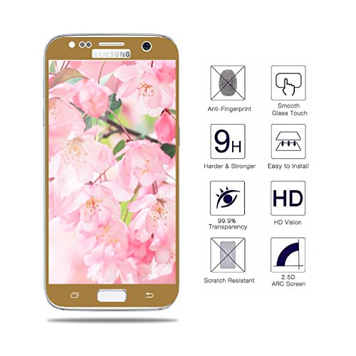 danteng Galaxy tanque S8  Cristal protector de pantalla