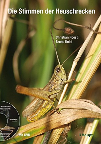 Preisvergleich Produktbild Die Stimmen der Heuschrecken