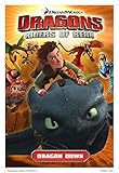 Dragons: Riders of Berk - Volume 1: Dragon Down (How to Train Your Dragon TV) by 