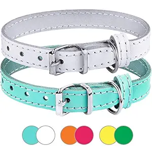 BRONZEDOG Leather Cat Collar Pack of 2 PCS, Pet Collars for Kitten Puppy Small Dogs Cats Yellow Green Pink Orange White Turquoise (Neck Size 7'' - 10'', Turquoise/White)