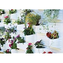Amazon.es: jardin vertical pared - Amazon Prime