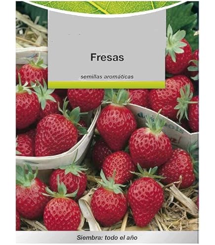 Semi Di Fragola (Fragaria Ananassa) – 0,3 Gr / 600 Semi – Freson Frutilla