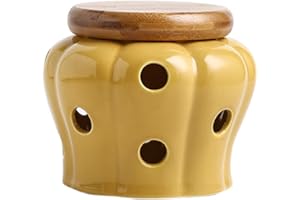 Yawdil Tarro de cerámica blanca para almacenamiento de ajo y jengibre, con tapa, diseño de celosía de flores, amarillo, rectangular