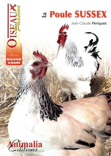 La poule sussex La poule sussex