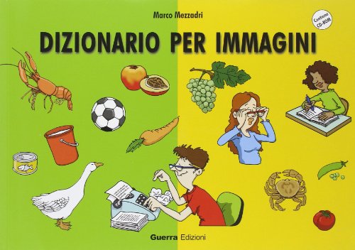 Dizionario per immagini. Con CD-ROM libro