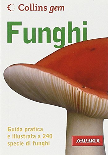 Funghi