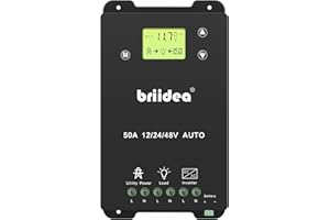 briidea Automatic Transfer Switch, 50A 5500 Watt ATS Dual Power Controller for Off Grid Solar Wind Systems DC 12V 24V 48V AC 110V 220V, Black