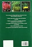 Image de Enciclopedia de las plantas de jardin, la