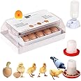 MUALROUS 15 Egg Incubator Chicken Eggs Hatching Machine Automatic Digital Mini Home Hatching Equipment with LED Light Egg Candler Tester and Temperature Control for Chicken Duck Quail Bird
