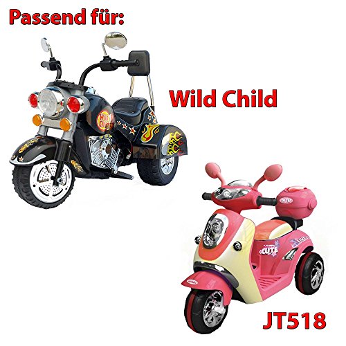 Original Wild Child Ladegerät für B19, Netzteil, Elektromotorrad, Roller, Ersatzteil, Neu