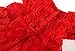 Pandaren® infant baby girl summer red spotted roses short sleeve dress skirt (Red) (6-12 months)
