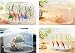 Prehelife Detachable Baby Bottle Drying Rack Tree Shape Feeding Bottle Pacifier Hanging Bottle Rack with Dust Cover