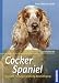 Produktbild Cocker Spaniel: Auswahl, Haltung, Erziehung, Beschäftigung