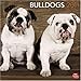 Bulldogs 2011 by 