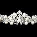 WINOMO Rhinestone Faux Pearl Decorated Wedding Bridal Hair Barrettes, Hairband, Hair Clip, Hair Loop, Tiara (Sliver)