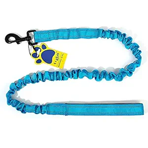 A+a Pets' No Pull Bungee Leash with Neoprene Padded Handle (Blue)
