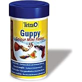 Tetra Guppy Colour Mini Flakes Pul Lepistes Yemi 100ml