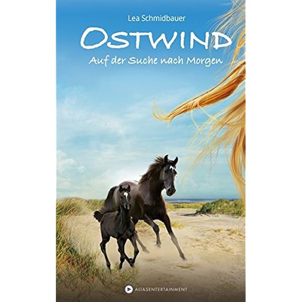 Ostwind Auf Der Suche Nach Morgen Amazon De Schmidbauer Lea Bucher