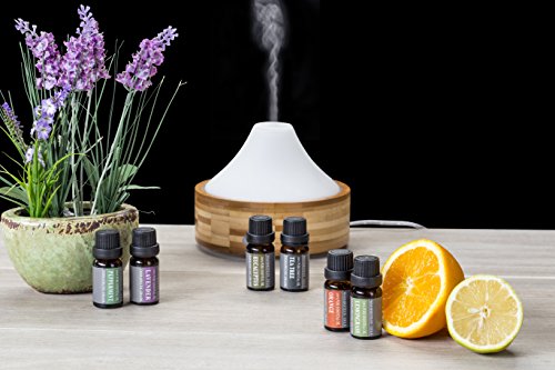 Die Top 6 Aromatherapie Öle – 100% reine ätherische Öle in einem Geschenkset 6 x 10 ml von WASSERSTEIN (Lavendel, Teebaum, Eukalyptus, Zitronengras, Orange, Pfefferminze) - 2