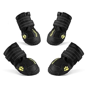 RoyalCare Zapatos Perro, Impermeable Zapatos Perro para Mediano y Grandes Perros – Negro (6#)