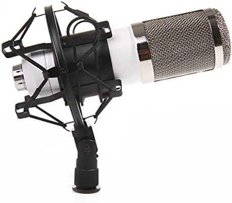Dolotu BM Series Dynamic Condenser Microphone Sound Studio Recording Mic+ Shock Mount + Microphone Windshield- Professional Studio Broadcasting &amp; Recording Microphone SetEnjoying Singing Speaking High Party (BM800, White)