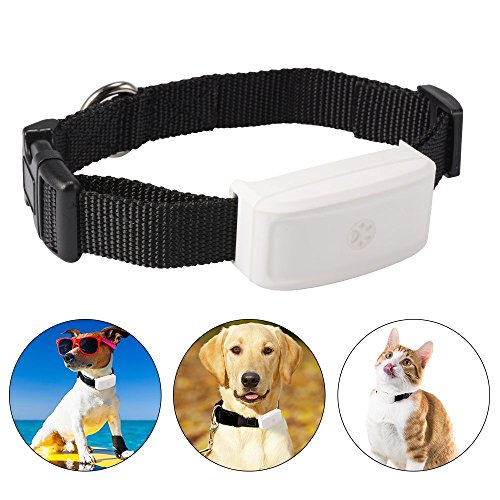 TKSTAR Pet GPS Tracker con Collar, Mini Impermeable GPS Tracking para Perros Cats Puppy, Wifi GPS Anti Lost Dog / Cats Entrenamiento en Tiempo Real con APP Gratuita y Plataforma Web TK911