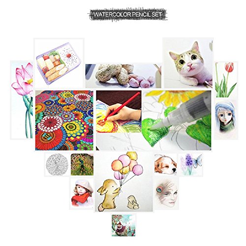 Cobee Wasserlösliche Farbstifte Set für Secret Garden Kunst Marco Farbige Zeichnung Aquarelle Artist Sketch Malerei Metallbox (72 Stück) - 5