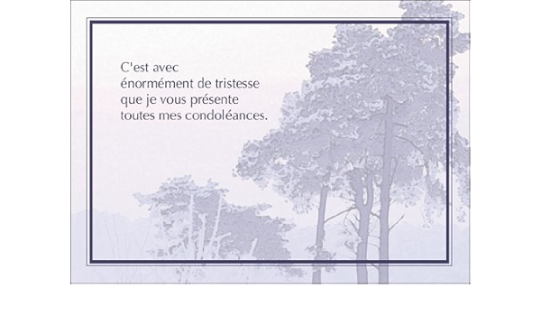 Lot De 8 Cartes De Condoleances Pour Deces Avec 8 Enveloppes De Couleur Incluses Design Sobre Et Elegant Format 14x14 Plie Interieur Vierge Pour Ecrire Popcarte Petit Prin