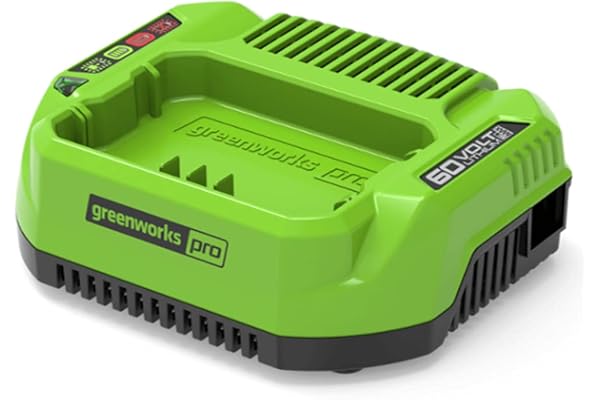 Greenworks Batteriladdare G60UC (Li-Ion 60 V 120 W/2 A utgång lämplig för alla batterier i 60 V Greenworks serien)