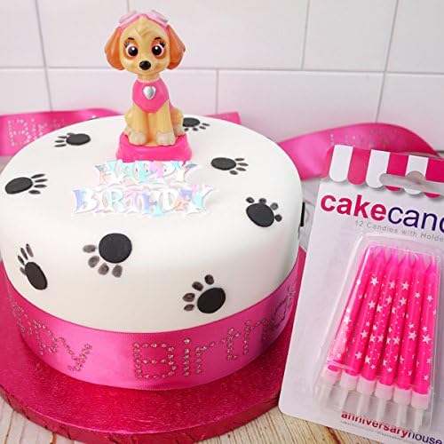 Paw Patrol Pink Cake Topper Set (With Skye)