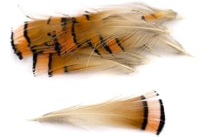 ‎CREATIVERY 20 Goldfasan Federn ca. 4-8cm orange Bastelfedern Schmuckfedern Dekofedern Fasanenfedern Vogelfedern