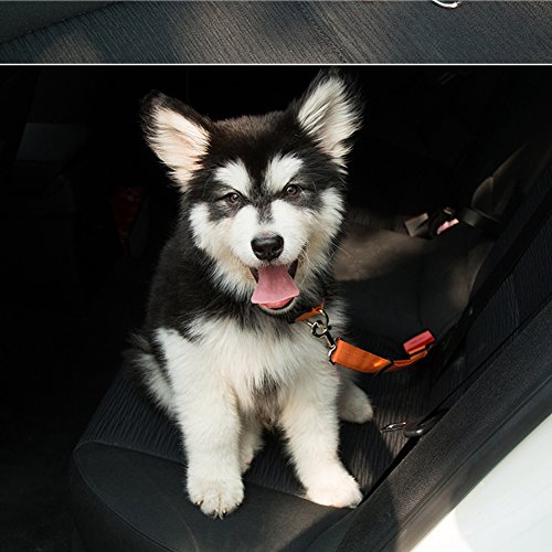 2x-Dog-Seat-Belt-Pet-Cat-Car-Safety-Seat-Strap-Harness-Adjustable-Leads-Harness-for-Cars-Vehicle