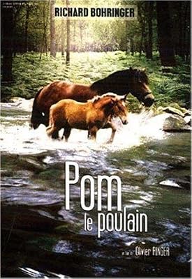 Pom, le poulain