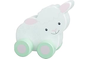 Orange Tree Toys OTT07627 Wooden Push Toy, Multicolour