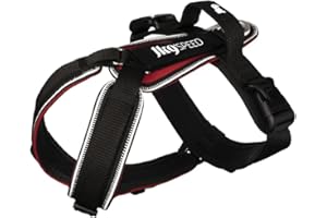 JULIUS K-9 Aquagarden Clean Pond Pods, Limite Les boues du Bassin, Rend l’Eau du Robinet sûre, réduit la fréquence de Nettoyage du Filtre, Plantes saines, stabilise Le pH, Paquet de 6