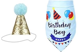 CRLLDPM 2 Pezzi Cappello di compleanno per gatti, cappello per feste per cani, bavaglino per animali domestici di buon compleanno, kit di decorazioni per feste di compleanno per animali domestici