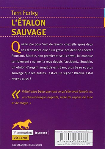 Book's Cover of Cheval fantôme, Tome 1 : L'étalon sauvage