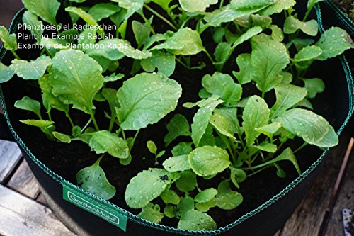 GardenMate® 3x 15L Pflanzsack aus Vliesstoff – 15L - 5