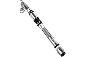 BNTTEAM Ensemble de Canne à pêche Portable et Moulinet en Fibre de Carbone Pointe de Canne Fluorescente, Kits de Sac de Transport de Ligne de leurres de pêche pour Voyage en Eau Douce salée