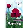 Understanding Morphology: Second Edition (Understanding Language)