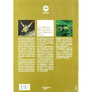 La mantis religiosa y los insectos palo (Animales)