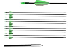 biubiusot 12erPfeile für Bogenschießen 31 Zoll Bogenpfeile Jagdpfeile Pfeile Übungspfeile Fiberglaspfeile für Anfänger Pfeil und Bogen Zielübung