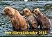 Der Bärenkalender 2014 (Wandkalender 2014 DIN A4 quer): Grizzlybären - ein Fotoshooting der besonderen Art (Monatskalender, 14 Seiten) by 
