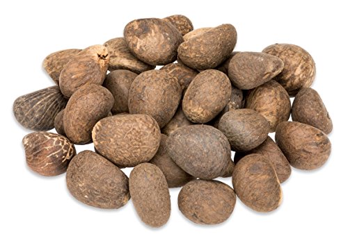 NaDeco® Tagua Nüsse 1kg unpoliert | Steinnuss | Elfenbein Nuss | Pflanzliches Elfenbeim | Tagua Nuss