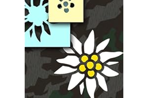 Copytec * Stencil per verniciatura – Stencil per verniciatura a forma di stella alpina per 2 colori, per cacciatori di montagna, alpinismo, esercito tedesco, auto miltär (15 x 15 cm) #A470