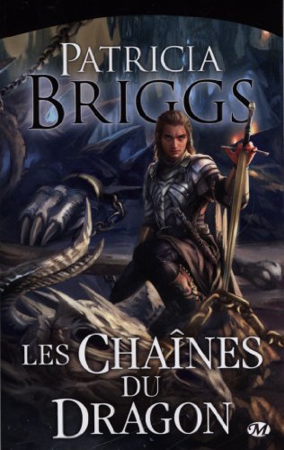 couverture de : Les cha&icirc;nes du dragon