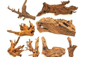 Wohnkult Radice di mangrovia XL, 45-60 cm, decorazione per acquario, radice, legno di mangrovia