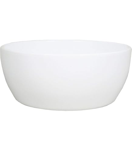 Contenitore per Piante IN Plastica Con Manico E Sottobicchieri