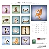 Image de Yoga Cats 2013 Calendar